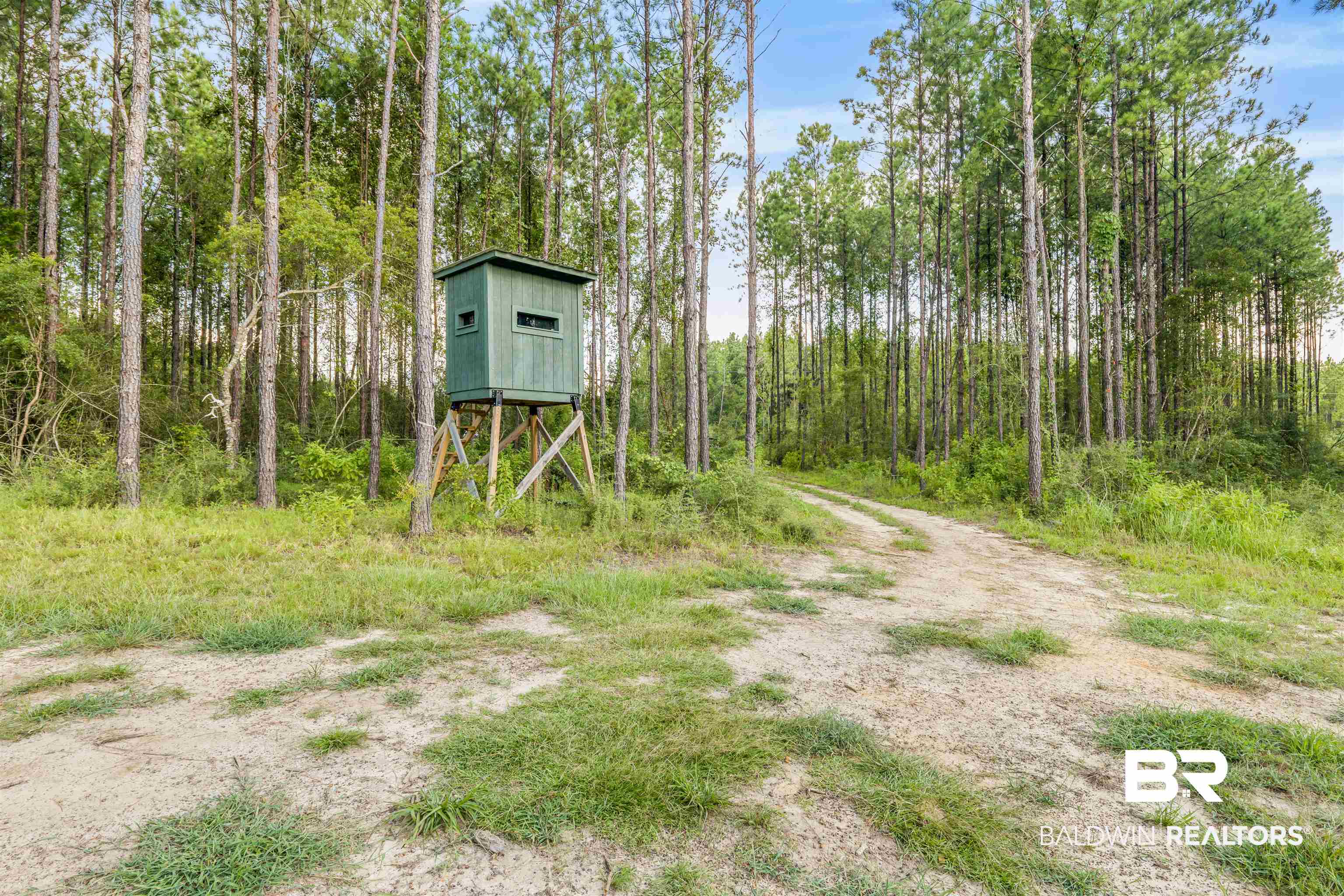 27861 New Hope Church Road Robertsdale, AL 36567 - Photo 11 of 29 View of yard