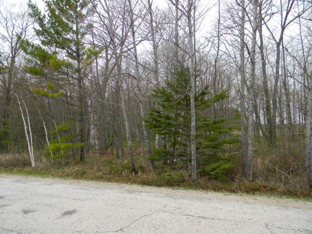 Tract C Timberline Road Ellison Bay, WI 54210 - Photo 1 of 1 Main View