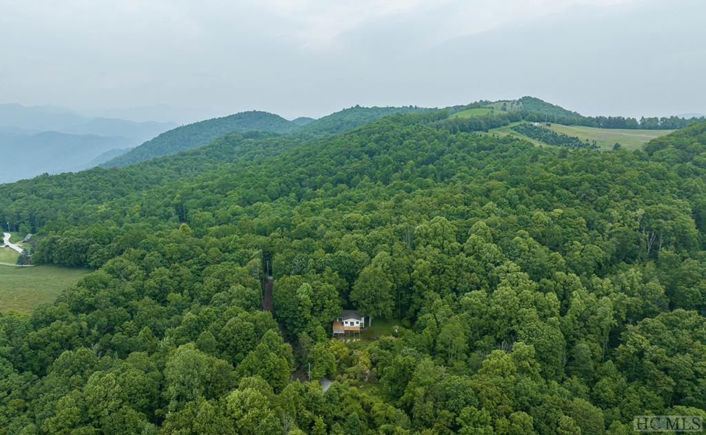 5183 Big Ridge Road Glenville, NC 28736 - Photo 37 of 48 Gallery Image 37