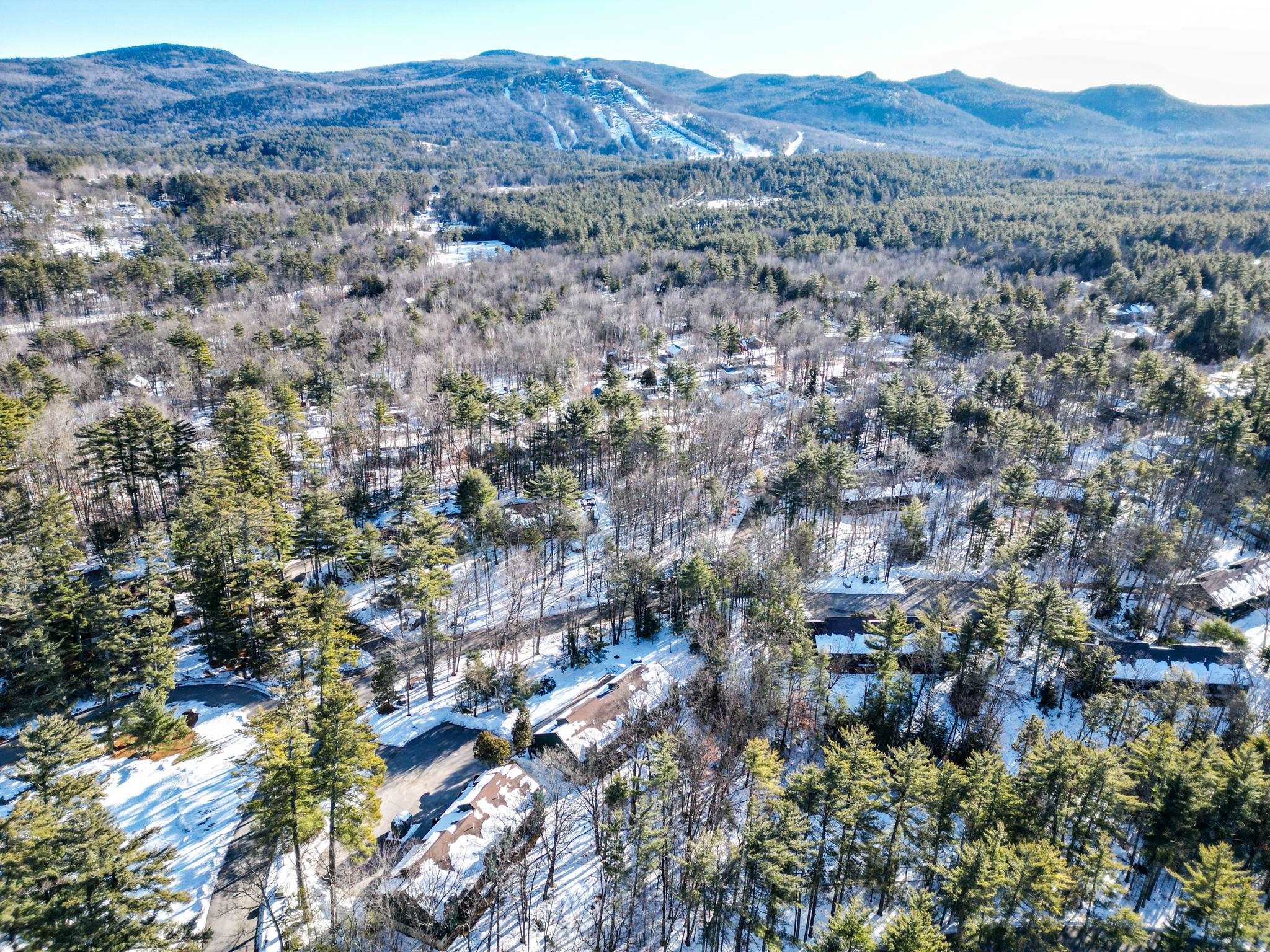 106 Stonehurst Manor Road, Unit 6B Conway, NH 03860 - Photo 3 of 50 Gallery Image 3