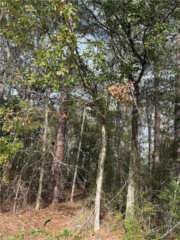 $3,000,000 | 0 General Pershing Street, Mandeville, LA 70448