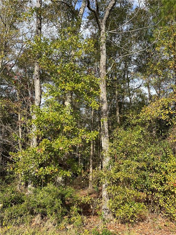 0 General Pershing Street Mandeville, LA 70448 - Photo 2 of 6