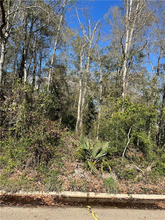 0 General Pershing Street Mandeville, LA 70448 - Photo 4 of 6