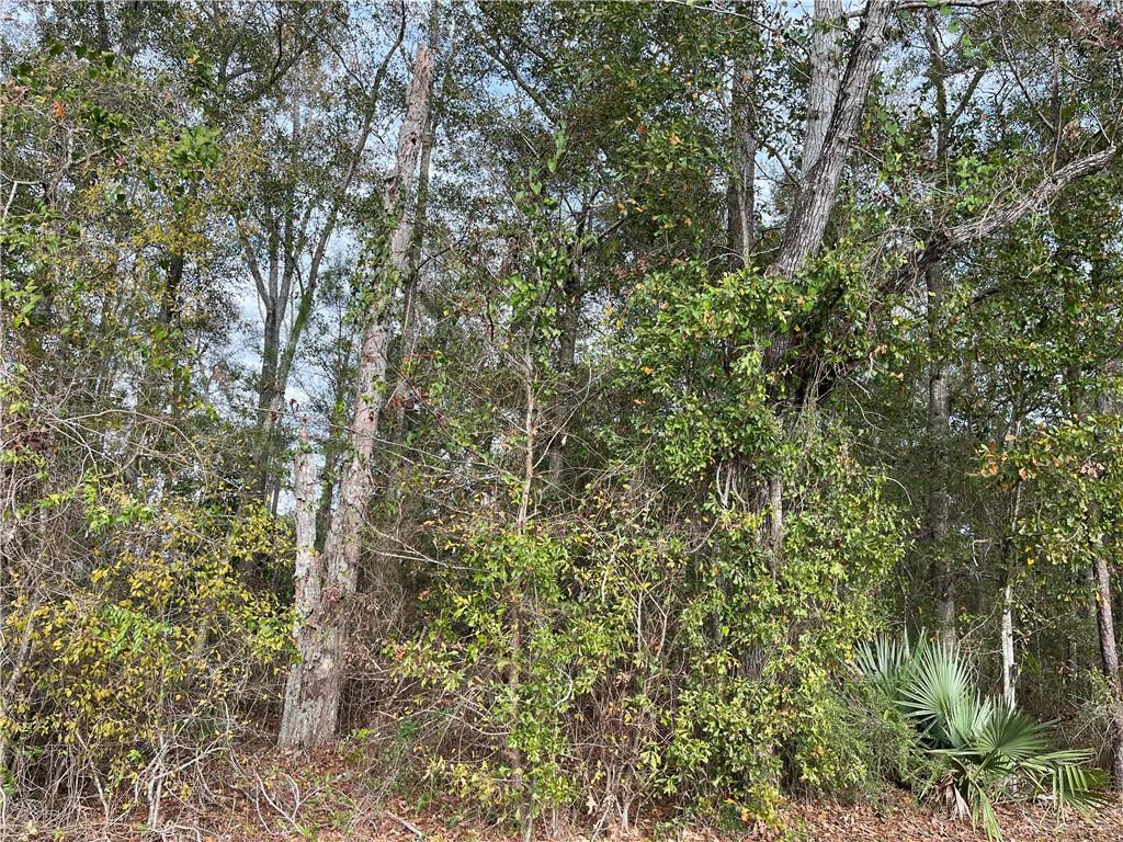 0 General Pershing Street Mandeville, LA 70448 - Photo 5 of 6