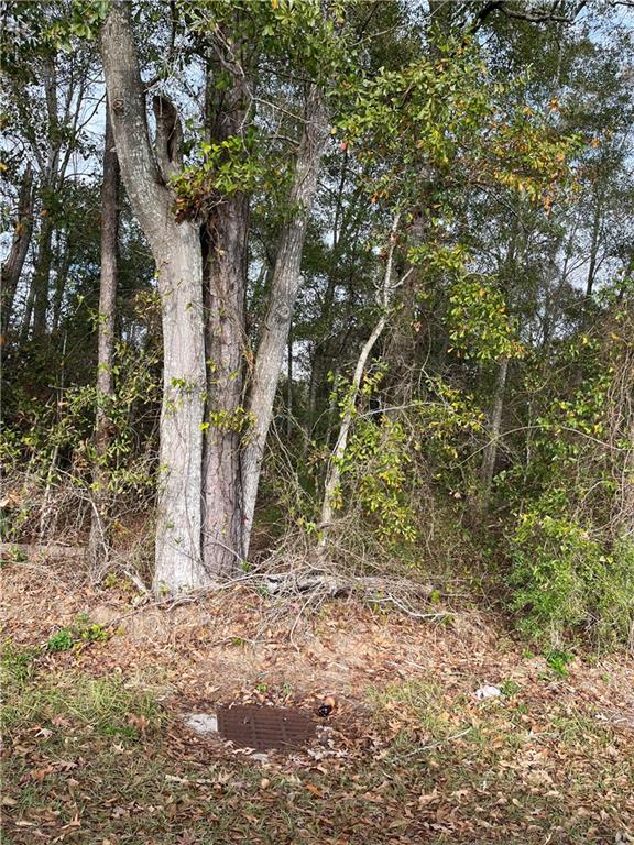 0 General Pershing Street Mandeville, LA 70448 - Photo 6 of 6