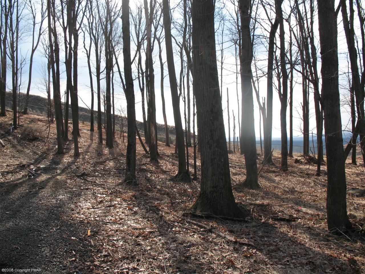 805 Fawn Road Pocono Lake, PA 18347 - Photo 2 of 5 Lot