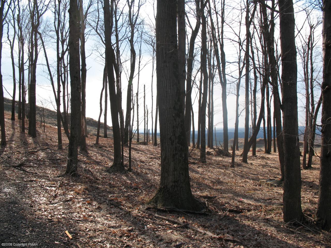 805 Fawn Road Pocono Lake, PA 18347 - Photo 3 of 5 Lot