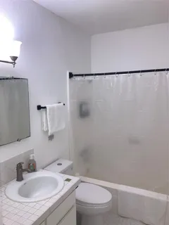 a bathroom with a sink toilet and vanity
