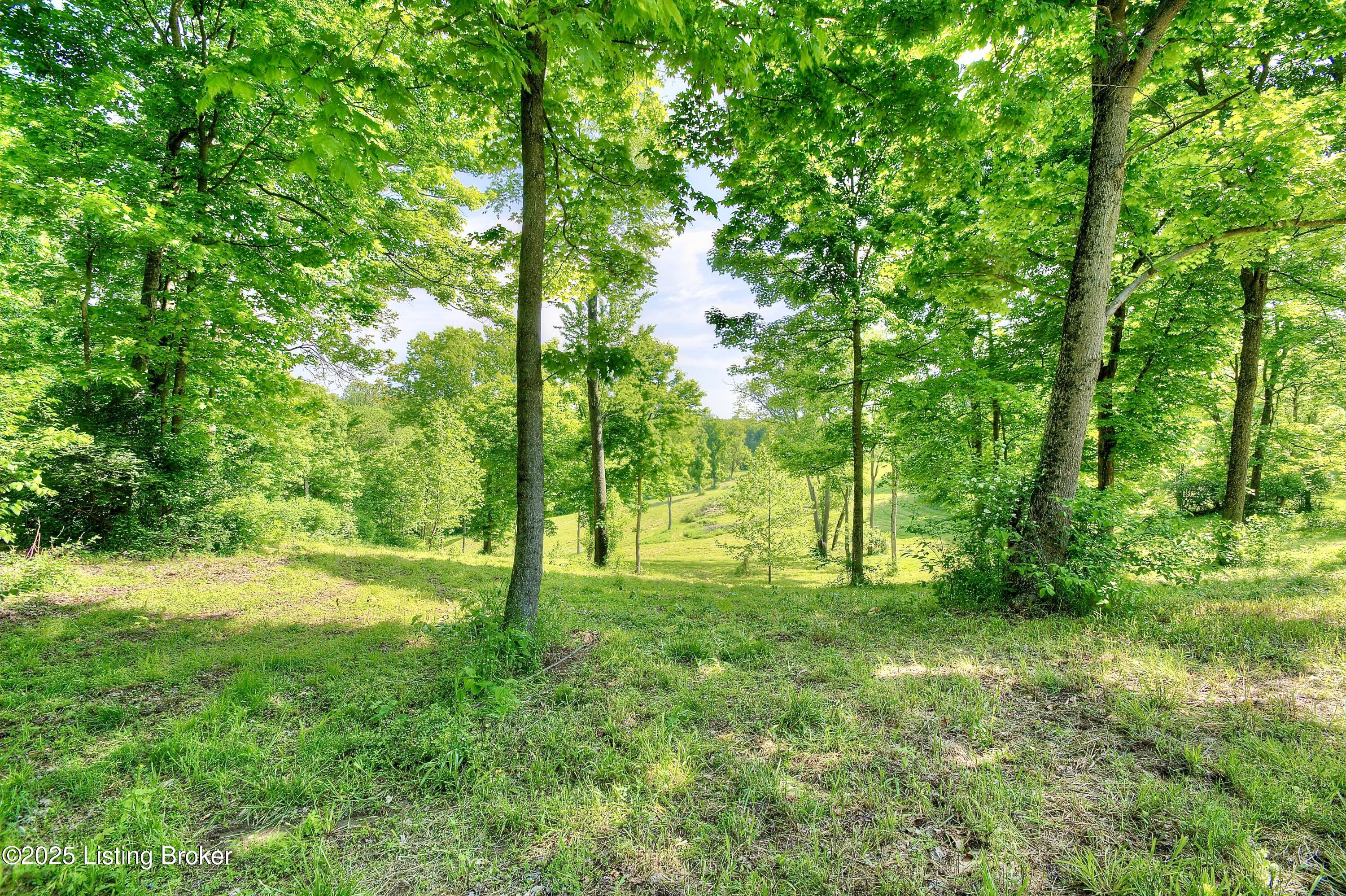 8069 B Howe Road Burlington, KY 41005 - Photo 3 of 17 3