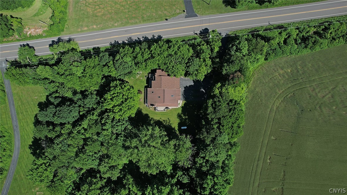 8646 Salt Springs Road Manlius, NY 13104 - Photo 46 of 48