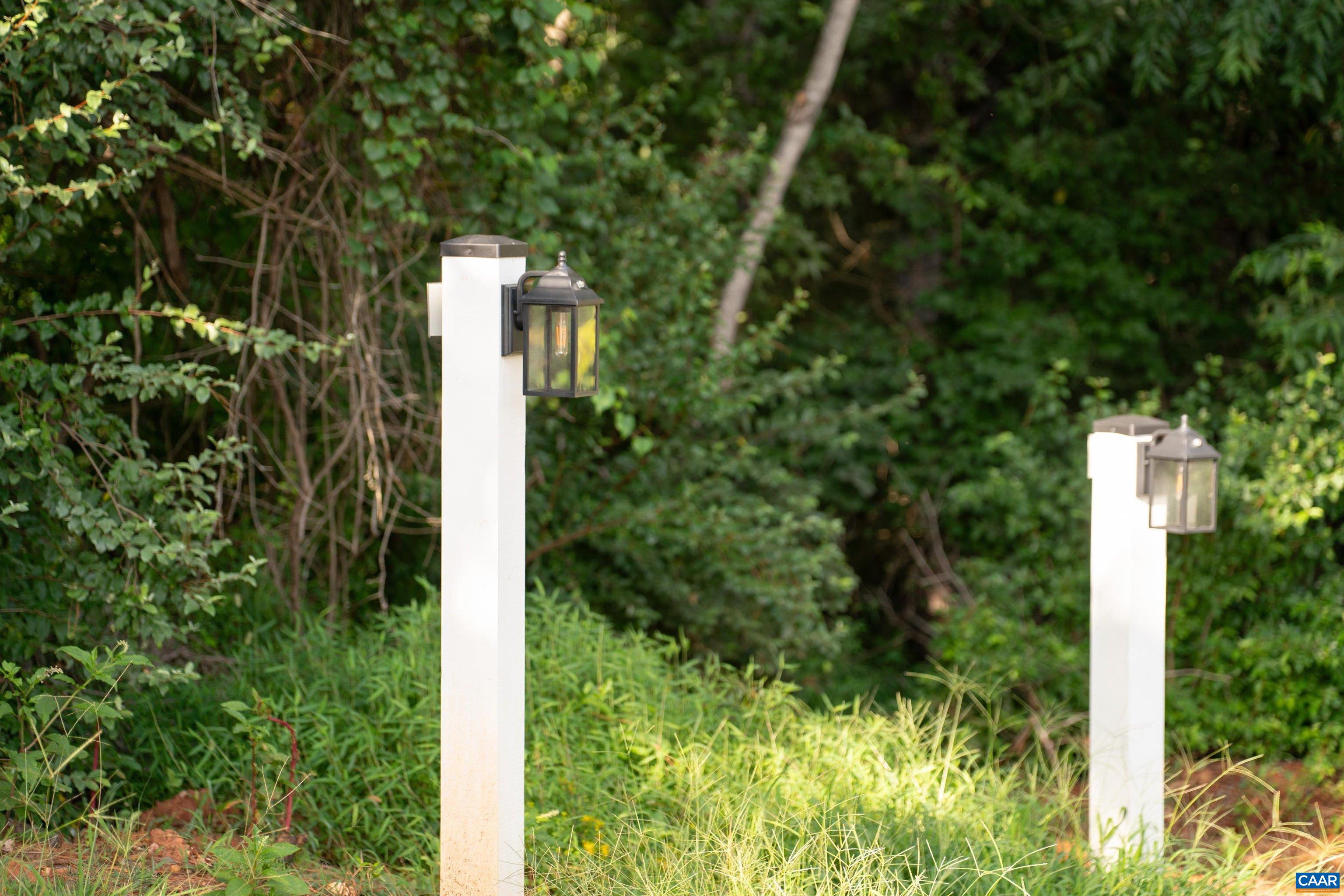 199 Ridgeview Drive Ruckersville, VA 22968 - Photo 68 of 72 a view of a yard with plants and large trees