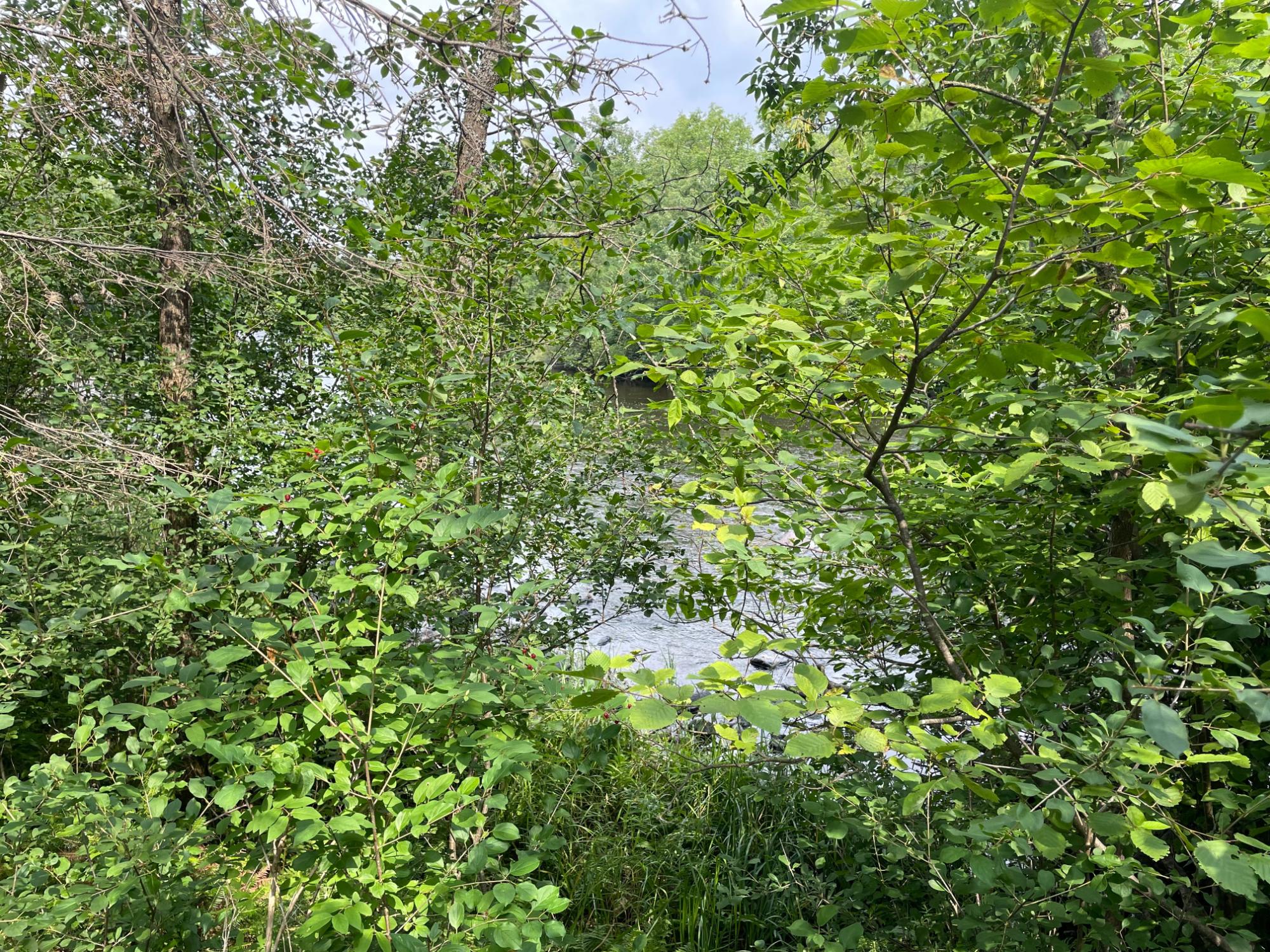 N14396 Krucky Road Fifield, WI 54524 - Photo 2 of 23 Gallery Image 2