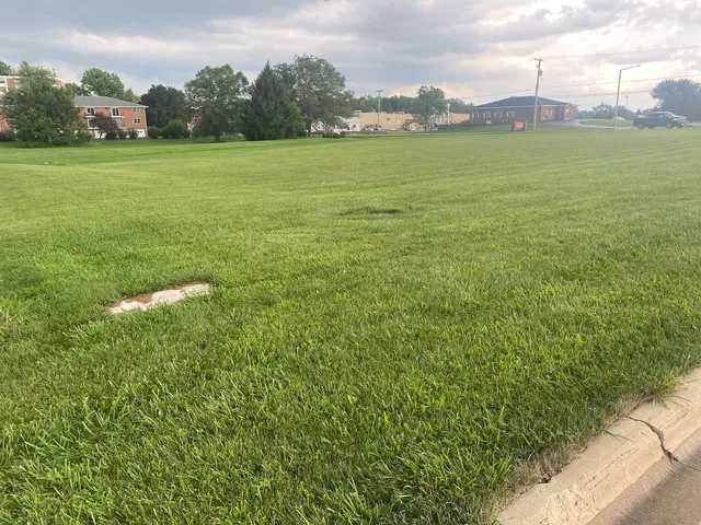 a view of a garden with a building in the background