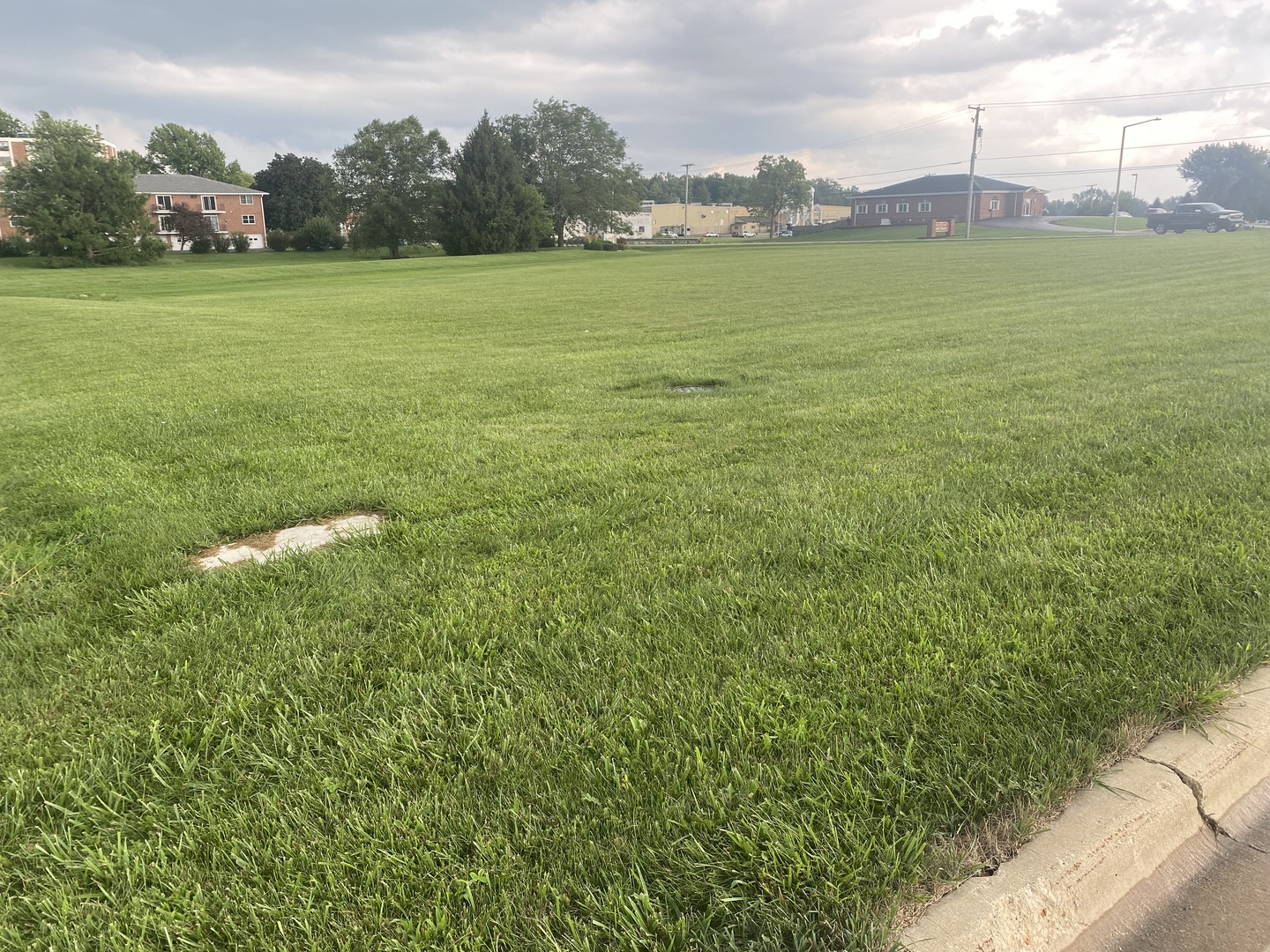 0 West Lawn Avenue Mendota, IL 61342 - Photo 1 of 1 a view of a garden with a building in the background