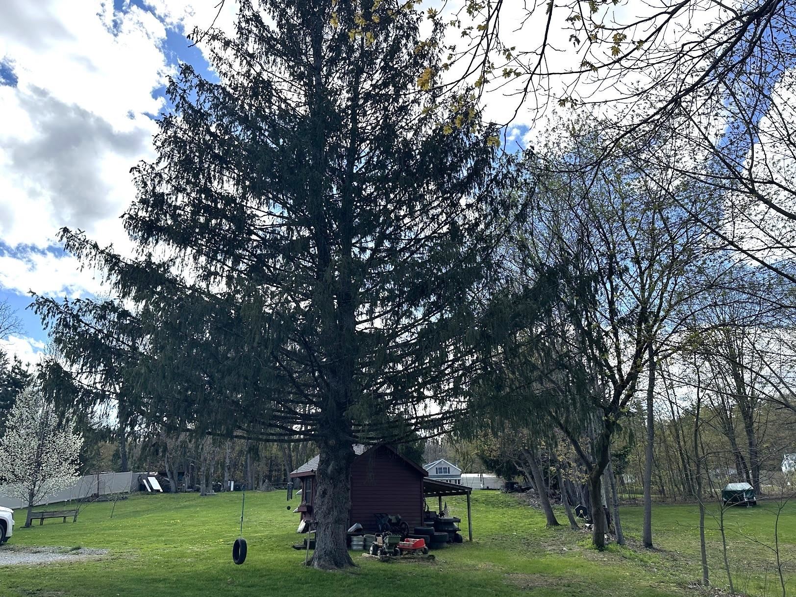 175 Creek Road Castleton, VT 05735 - Photo 24 of 40