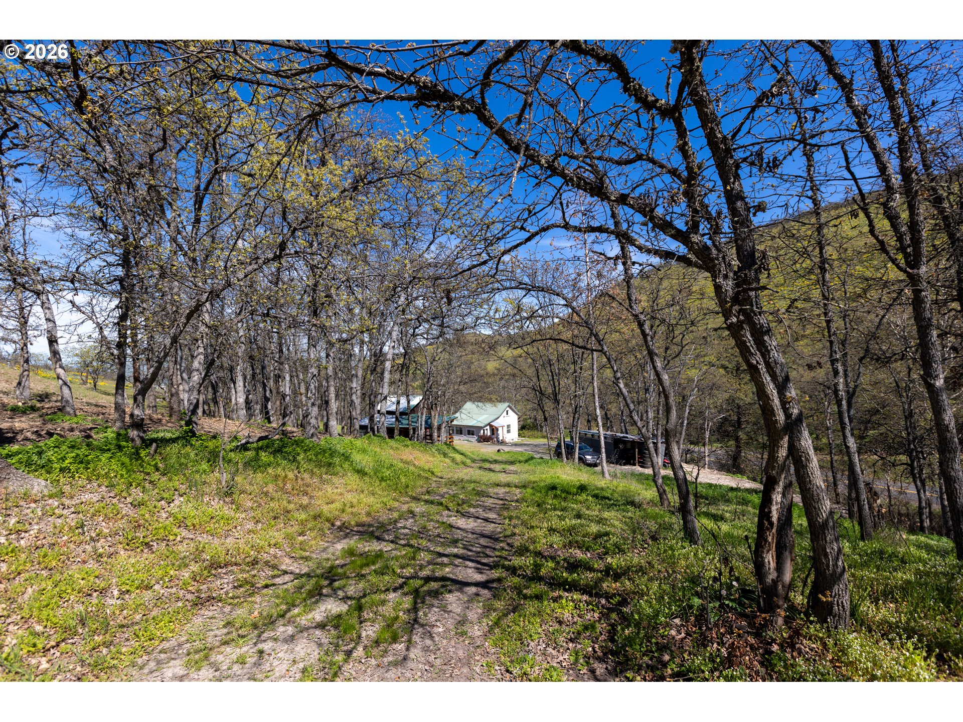 4625 Orchard Road The Dalles, OR 97058 - Photo 24 of 31 a backyard of a house with lots of green space