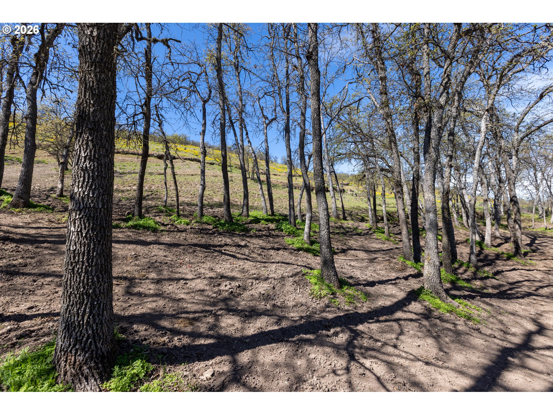 4625 Orchard Road The Dalles, OR 97058 - Photo 26 of 31