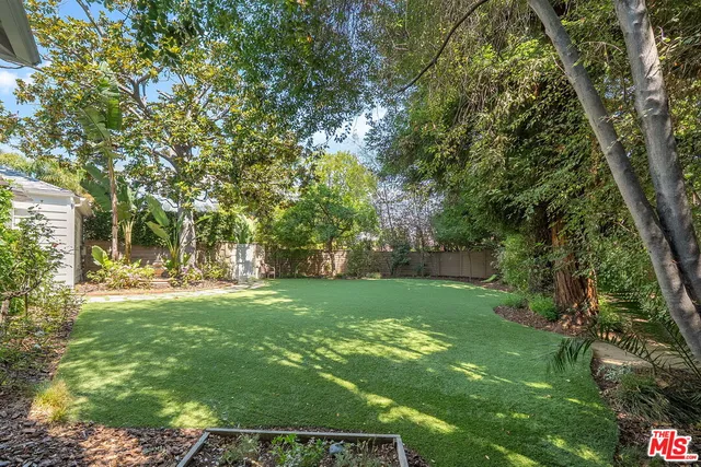 a view of a big yard with plants and large trees