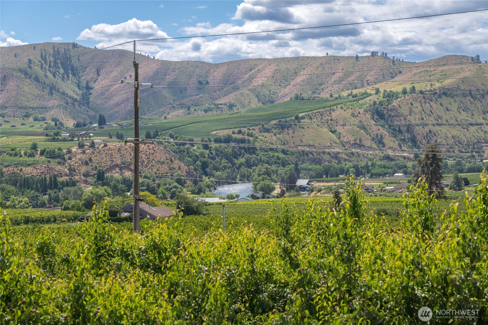 0 Red Apple Road Cashmere, WA 98815 - Photo 23 of 38 a view of a lake with a yard