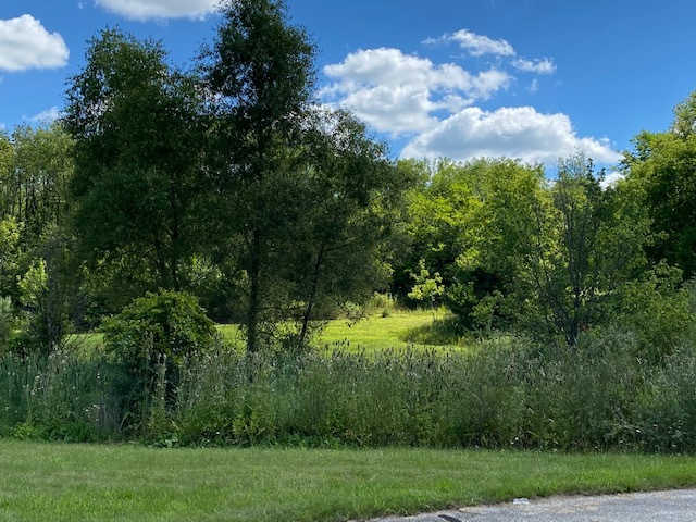 4223 Northgate Drive Spring Grove, IL 60081 - Photo 3 of 12