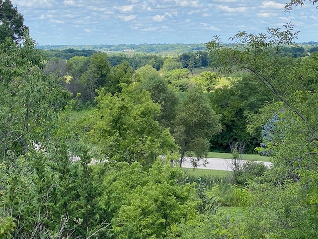 4223 Northgate Drive Spring Grove, IL 60081 - Photo 5 of 12