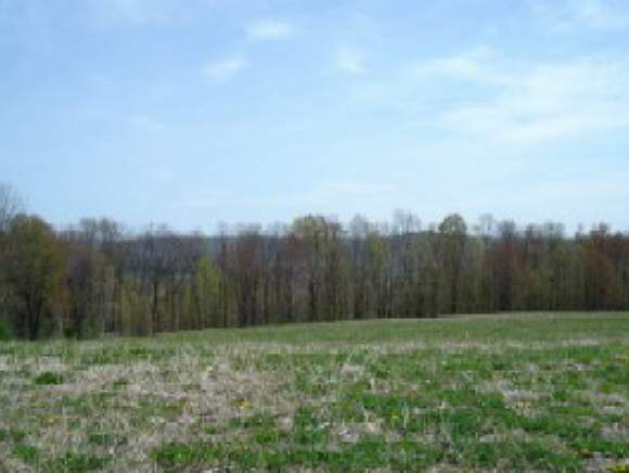 Lot #3 Youngs Road Greene, NY 13778 - Photo 1 of 3 Gallery Image 1