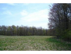 Lot #3 Youngs Road Greene, NY 13778 - Photo 3 of 3 Gallery Image 3