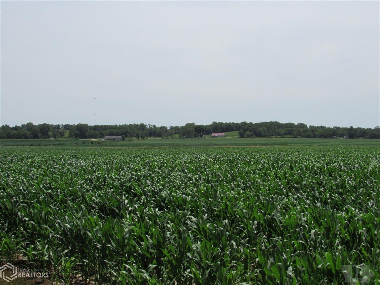 12276 Floris Road Floris, IA 52560 - Photo 2 of 10 Gallery Image 2