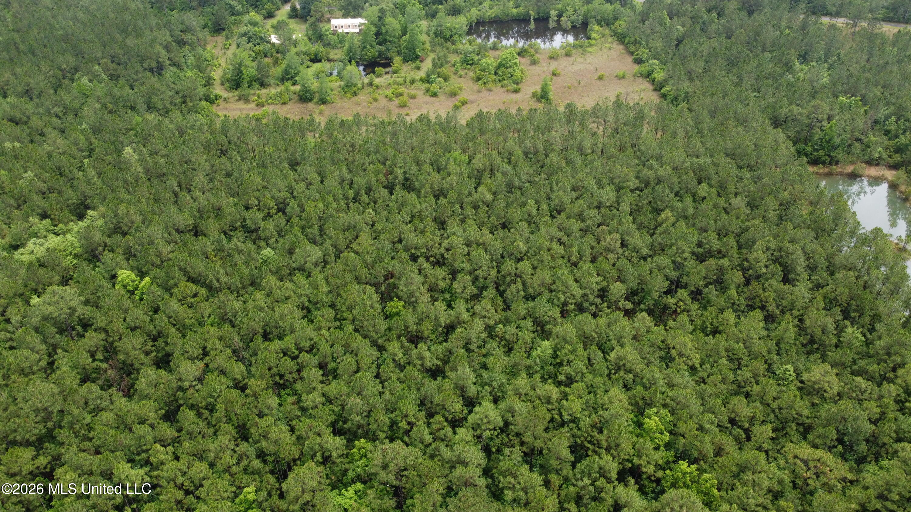 21205 South Fork Road Saucier, MS 39574 - Photo 10 of 23 dji_fly_20260521_140626_393_177939043114