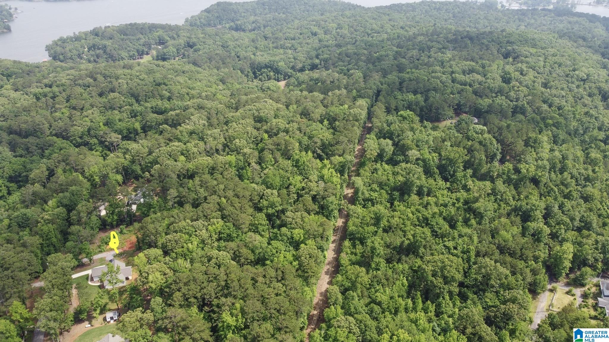 250 Black Acres Road, Unit 7 Cropwell, AL 35054 - Photo 5 of 5