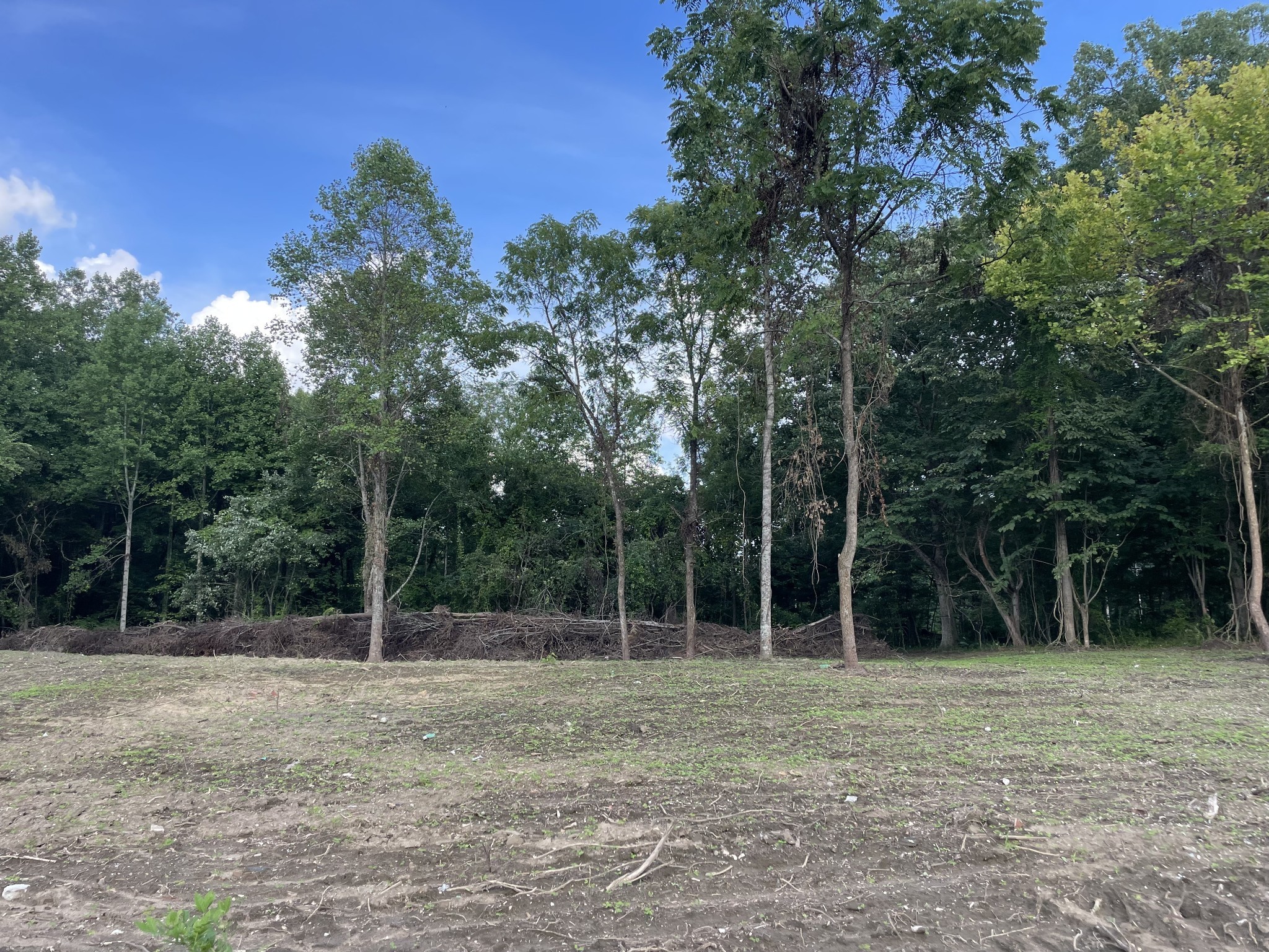 131 Laurel Trails Road Monteagle, TN 37356 - Photo 5 of 13 a view of a field