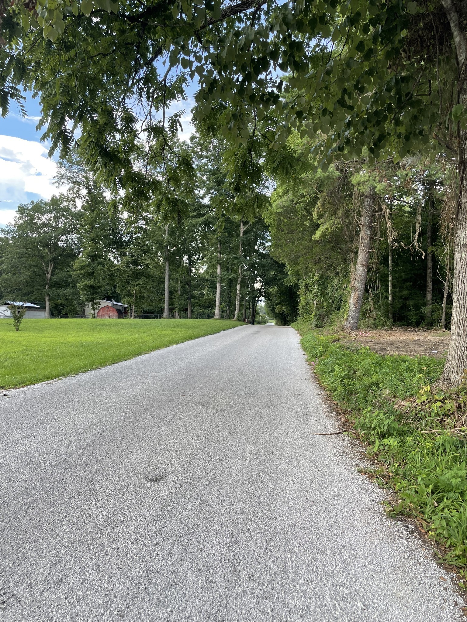131 Laurel Trails Road Monteagle, TN 37356 - Photo 6 of 13 a view of a park with large trees
