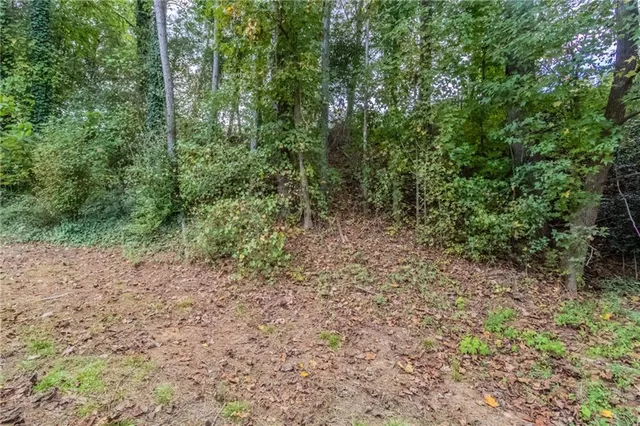 a view of a yard with a tree