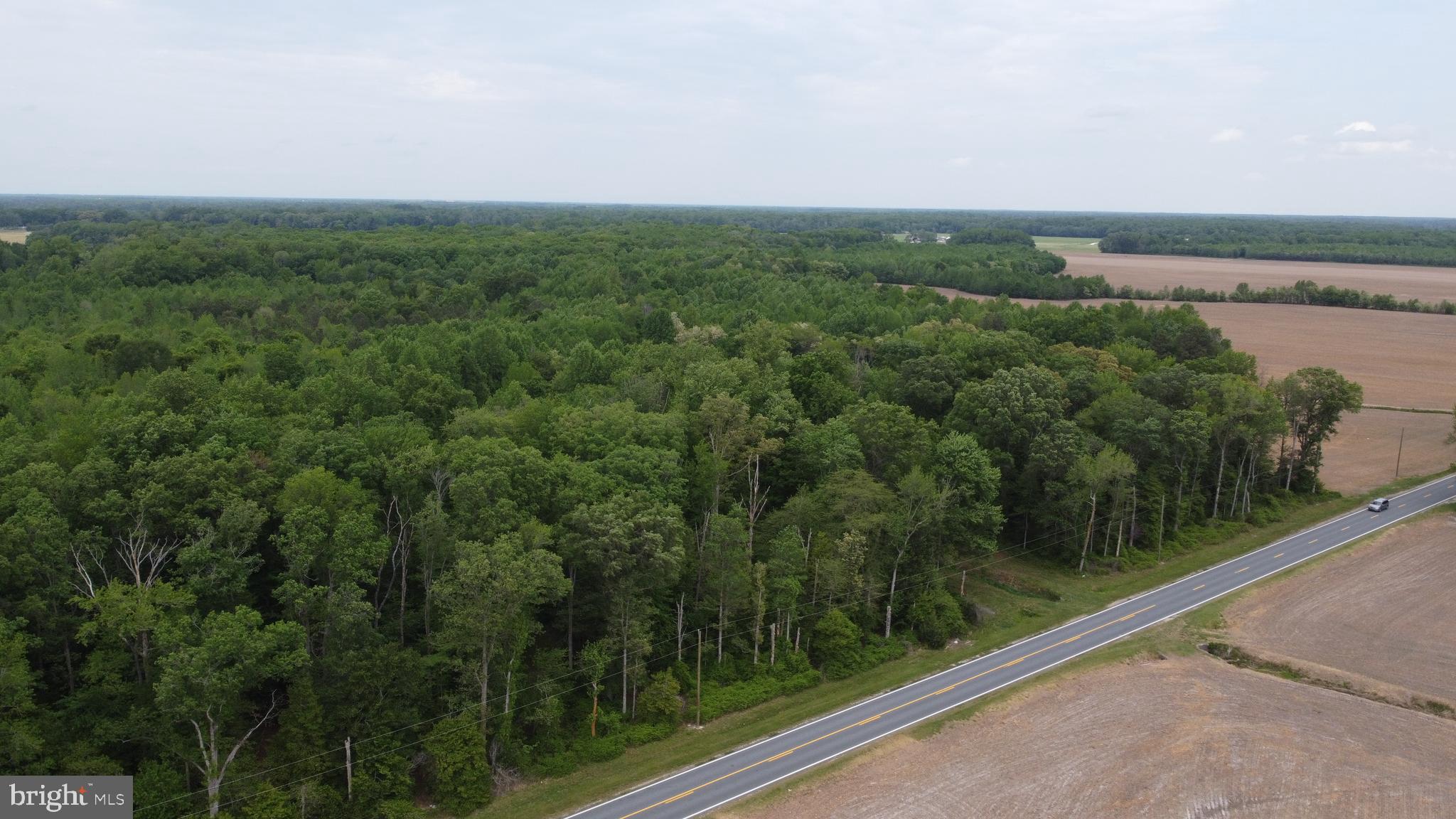 Lot 7 Cedar Grove Harrington, DE 19952 - Photo 2 of 8 a view of a lake from a balcony