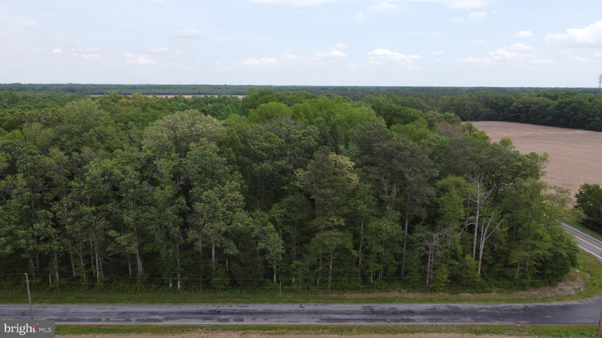 Lot 7 Cedar Grove Harrington, DE 19952 - Photo 6 of 8 a view of a city