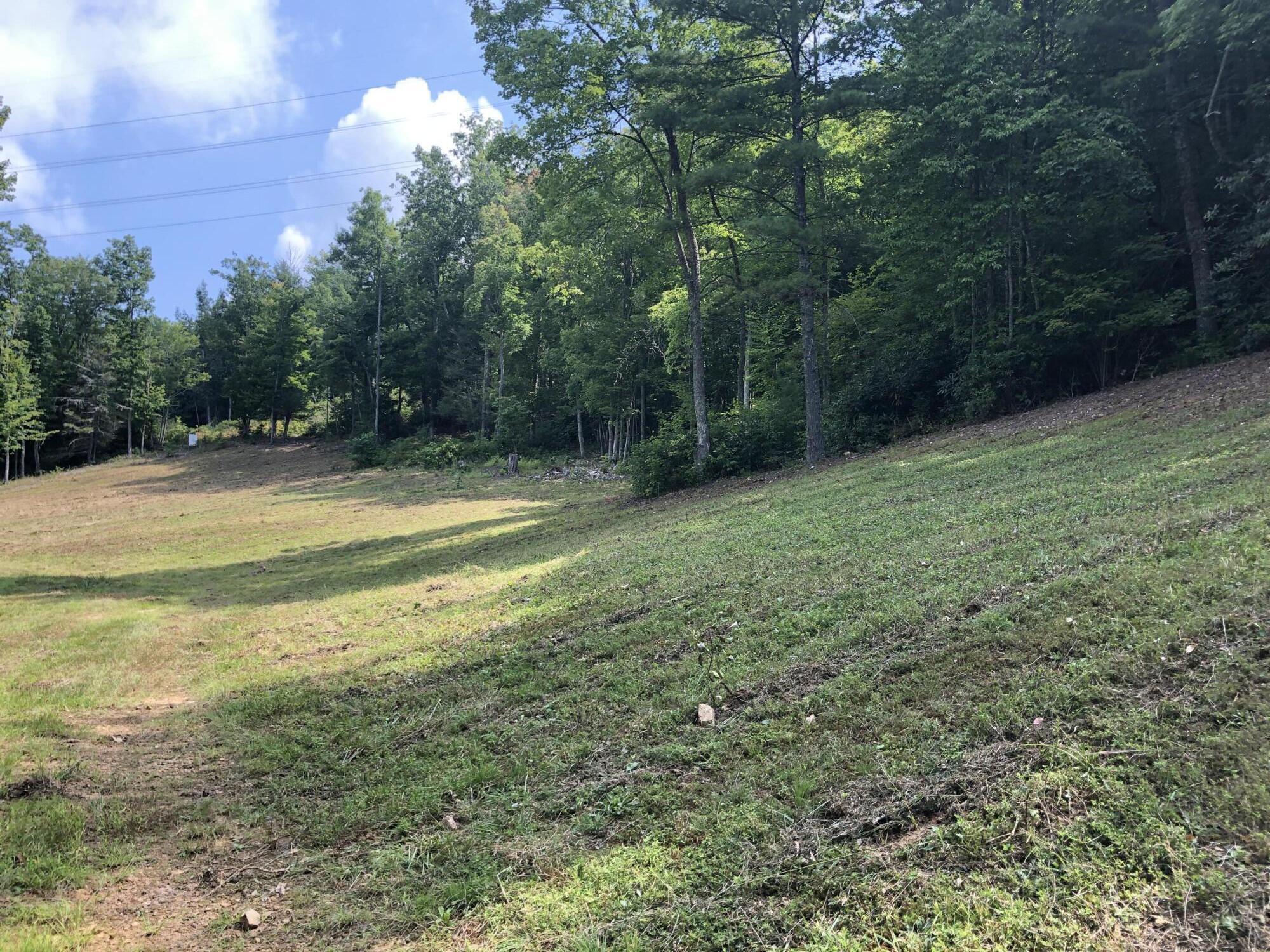 0 Norton Hollow Road, Unit TR 1&2 Erwin, TN 37650 - Photo 11 of 30 FB255D6C-5449-45A7-BFBD-61BFCD62F284