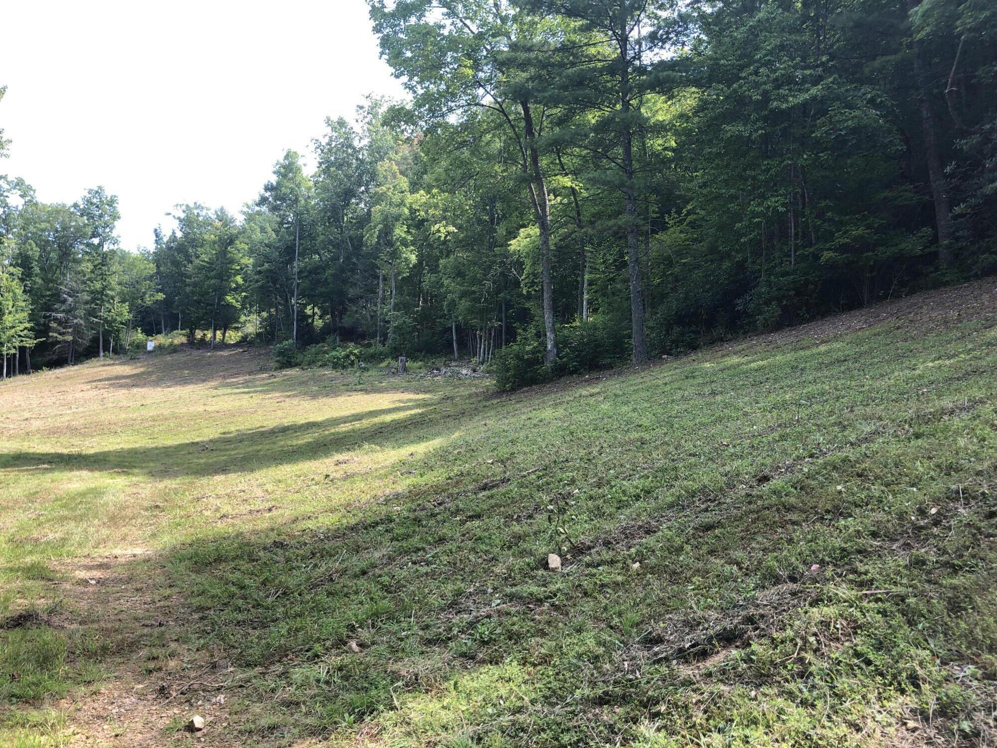 0 Norton Hollow Road, Unit TR 1&2 Erwin, TN 37650 - Photo 12 of 30 E854B85F-316B-492B-86FA-7112A45D0901
