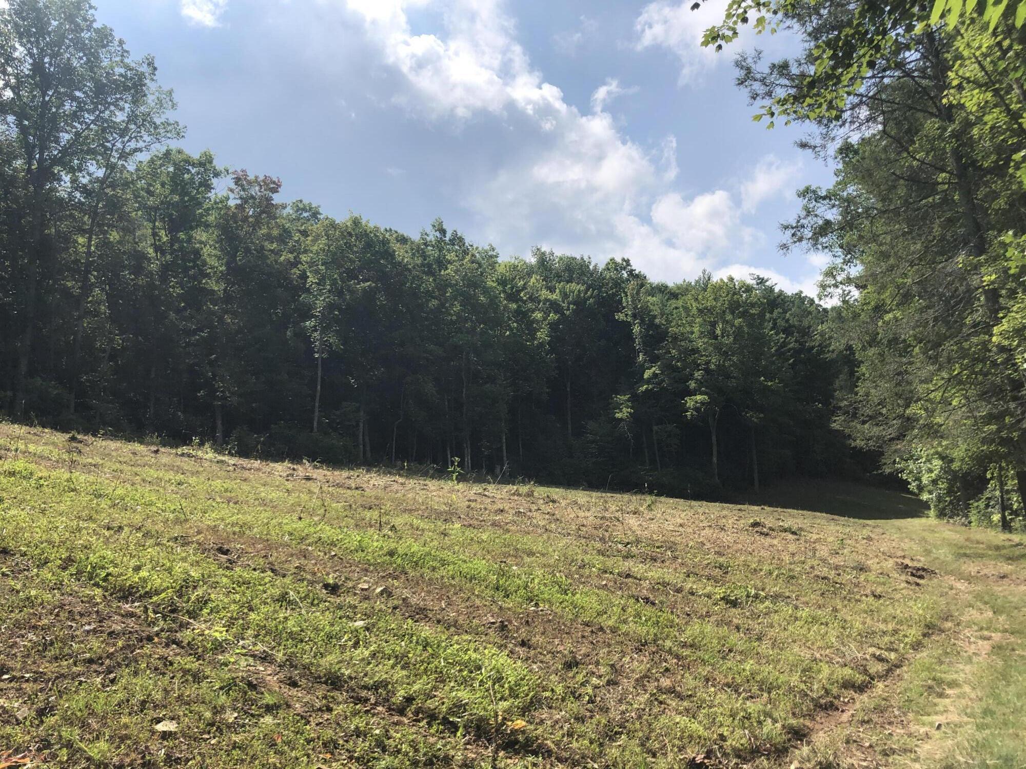 0 Norton Hollow Road, Unit TR 1&2 Erwin, TN 37650 - Photo 18 of 30 50303179-6B7E-457F-A35D-A11D0E62D954