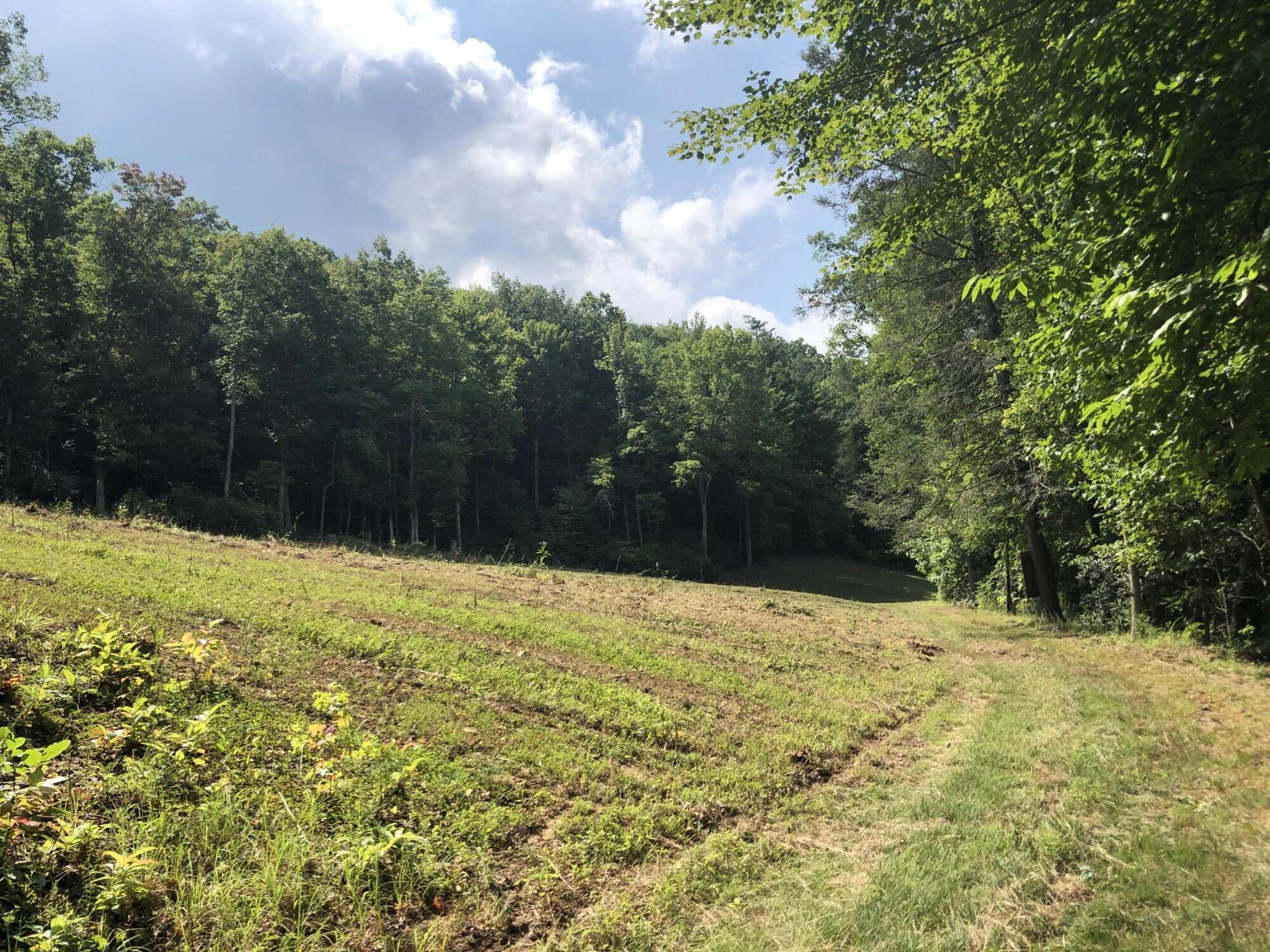 0 Norton Hollow Road, Unit TR 1&2 Erwin, TN 37650 - Photo 19 of 30 99D8C868-59F0-43EC-A2CA-68D199FE7E84