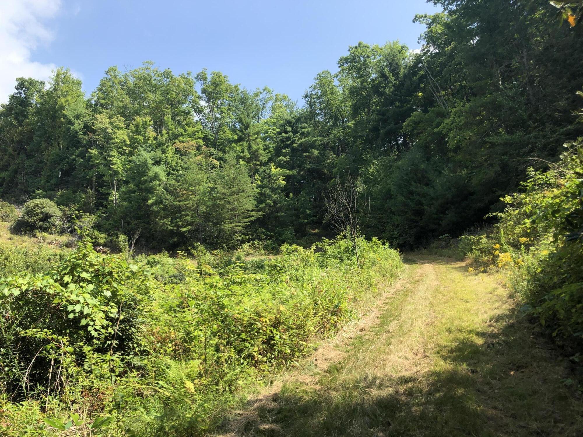 0 Norton Hollow Road, Unit TR 1&2 Erwin, TN 37650 - Photo 20 of 30 1E8C1457-3ADD-4538-94A9-FCBAE5276158