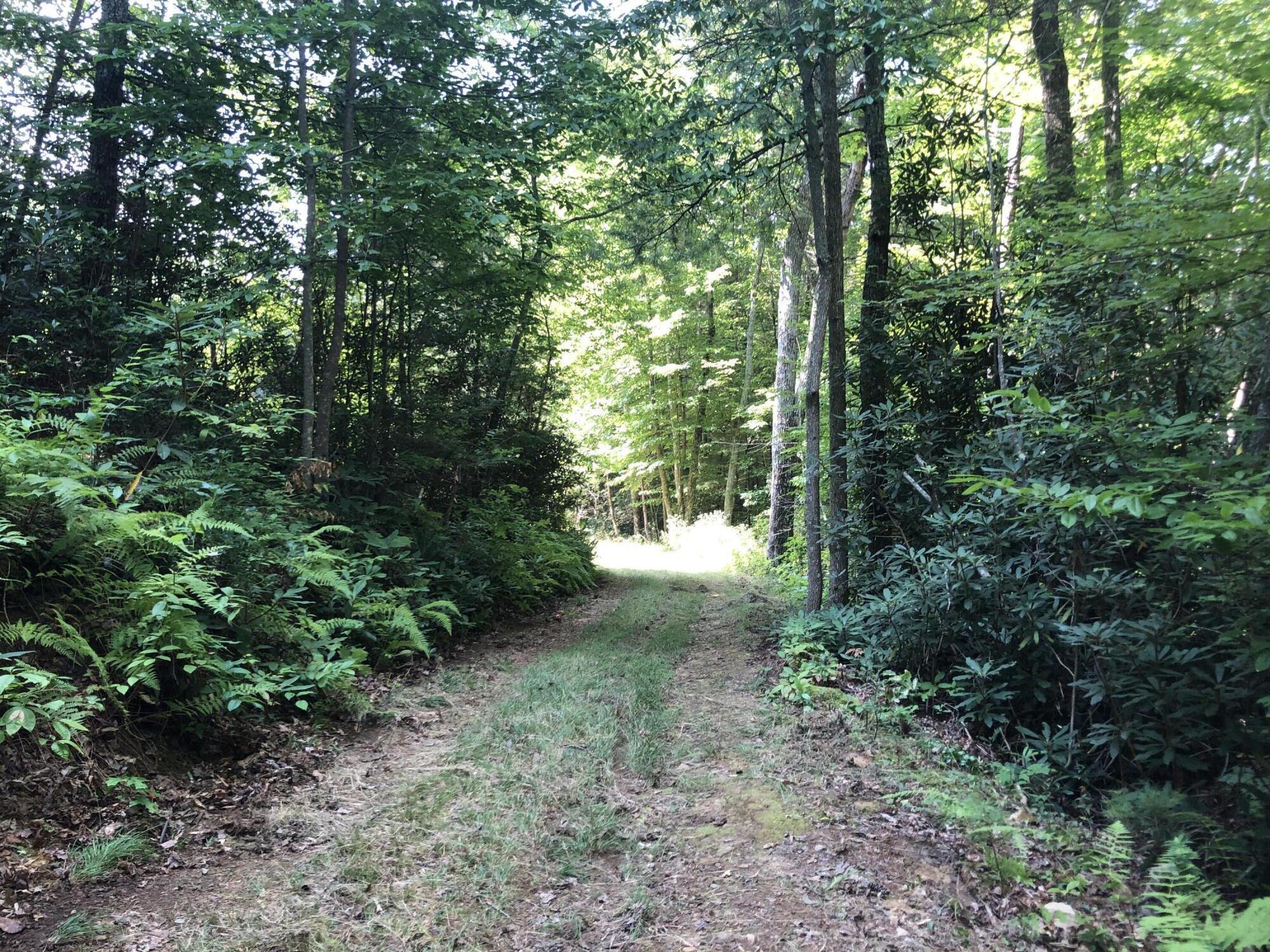 0 Norton Hollow Road, Unit TR 1&2 Erwin, TN 37650 - Photo 21 of 30 72845D28-DB2E-421D-B73E-0A0A927E2A6E