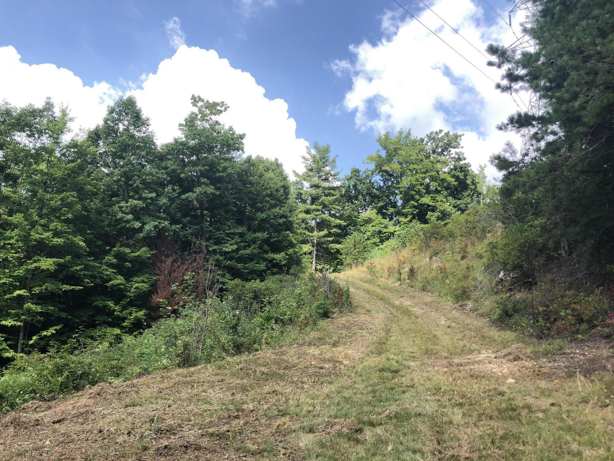 0 Norton Hollow Road, Unit TR 1&2 Erwin, TN 37650 - Photo 24 of 30 E7111B5F-CEA9-4748-AA01-9217862AF513