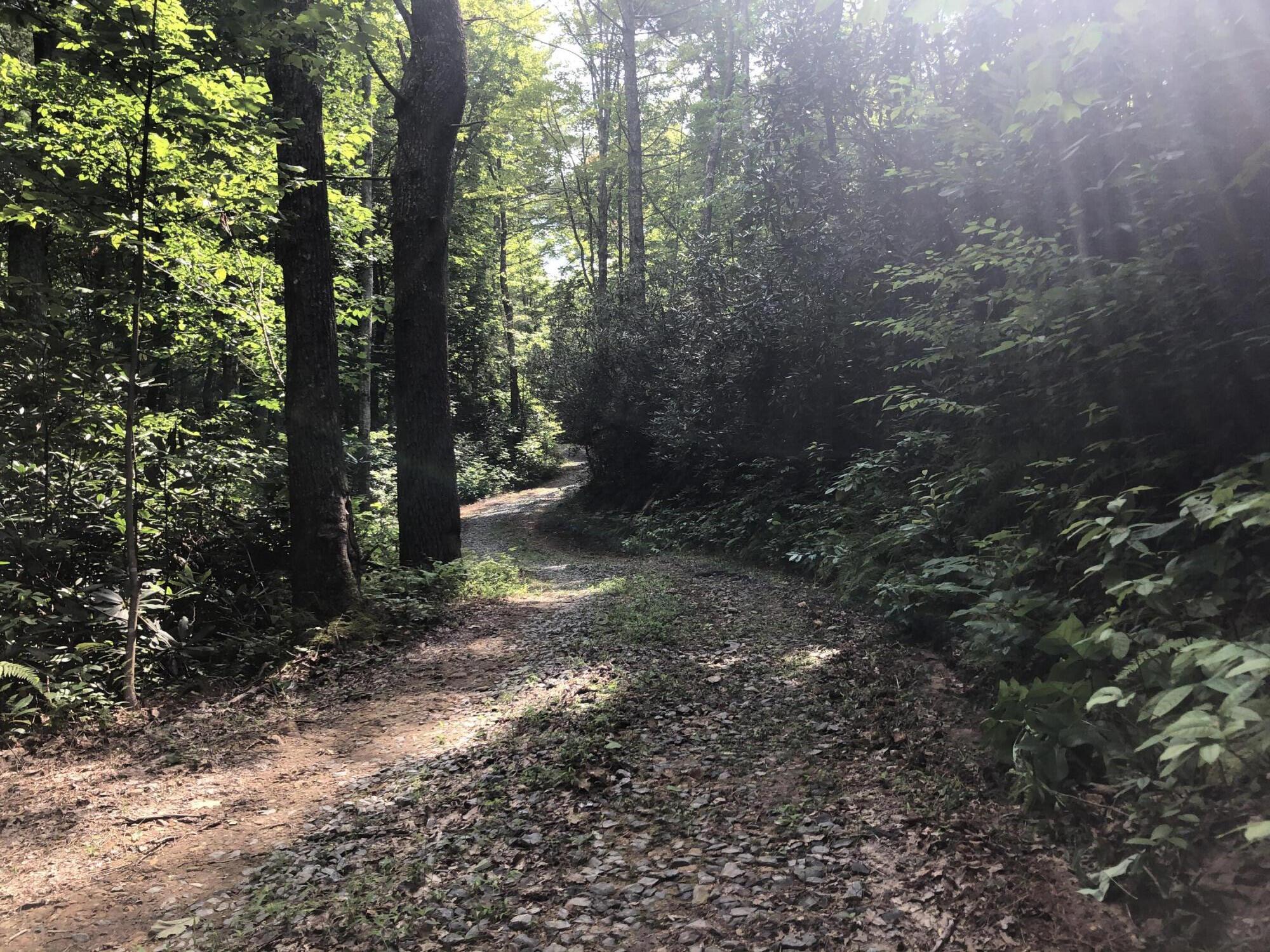 0 Norton Hollow Road, Unit TR 1&2 Erwin, TN 37650 - Photo 3 of 30 6E0C45D4-8EEC-4053-9B07-1F1FA4906D24