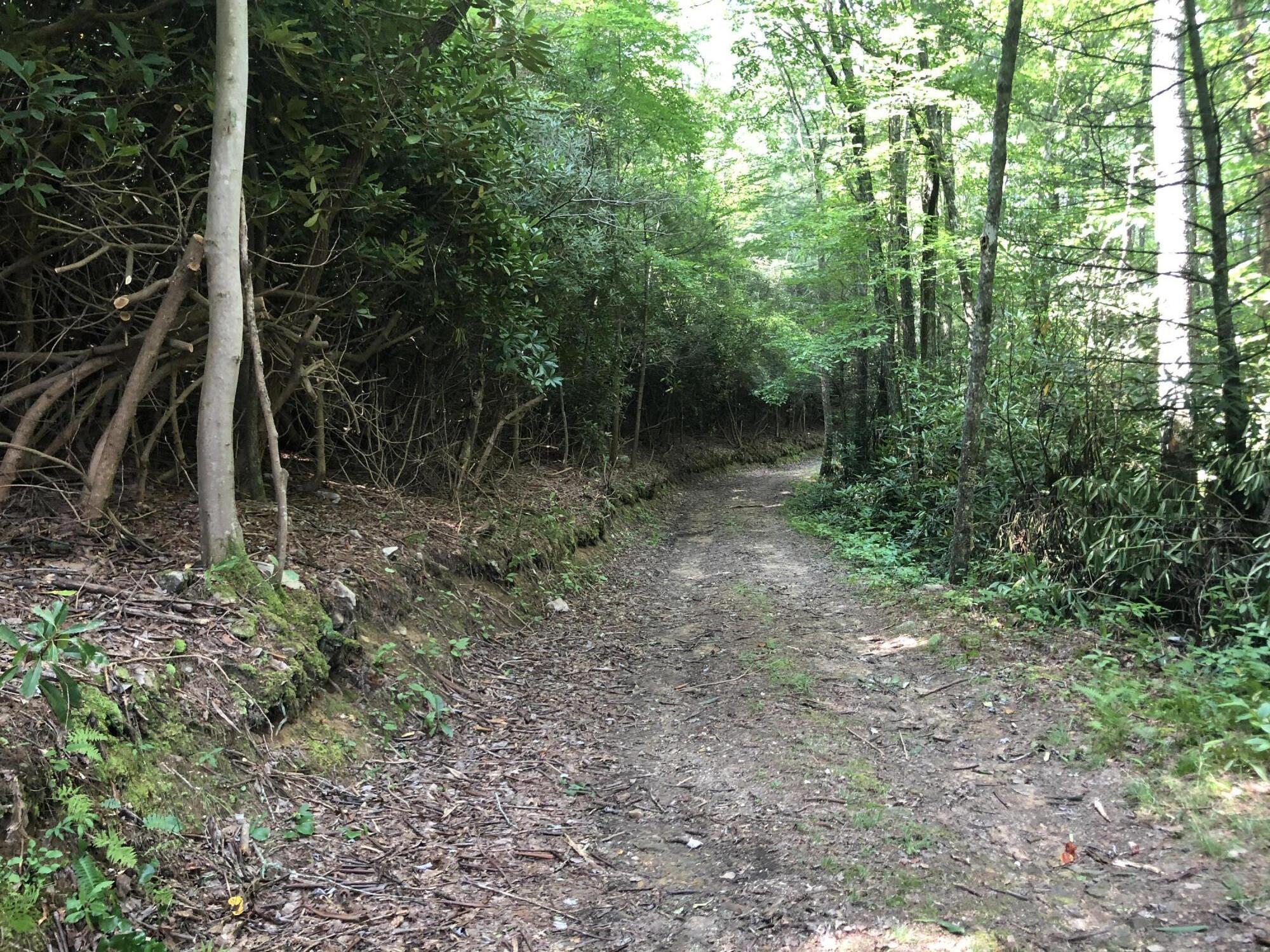 0 Norton Hollow Road, Unit TR 1&2 Erwin, TN 37650 - Photo 9 of 30 C2D977FA-CFBB-4717-8743-F63AF6662444