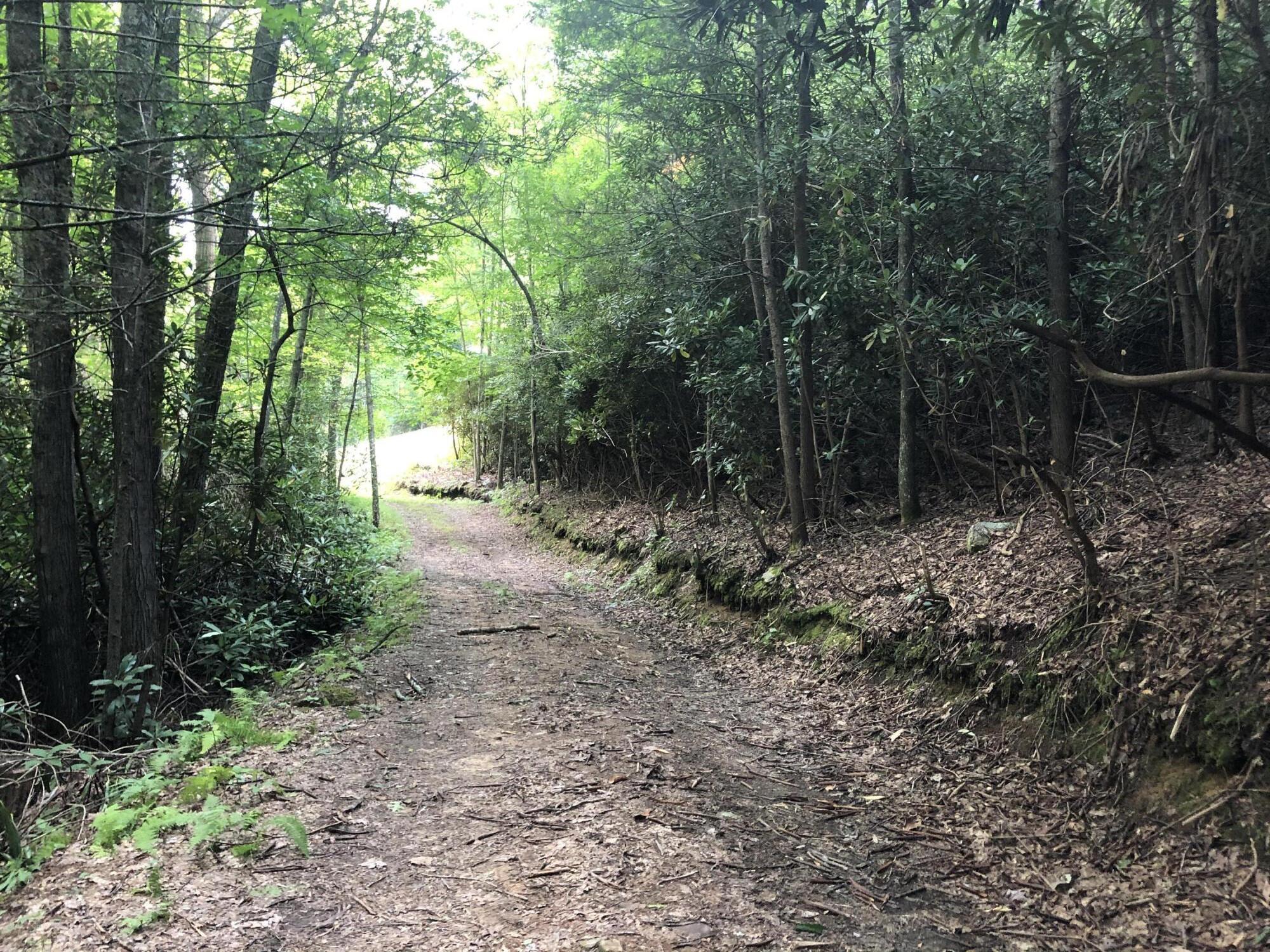 0 Norton Hollow Road, Unit TR 1&2 Erwin, TN 37650 - Photo 10 of 30 5B5A57C0-4E84-40D9-9F40-F69079F49328