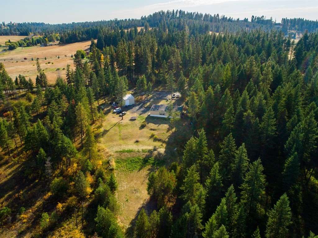 11315 East Halliday Road Colbert, WA 99005 - Photo 19 of 20