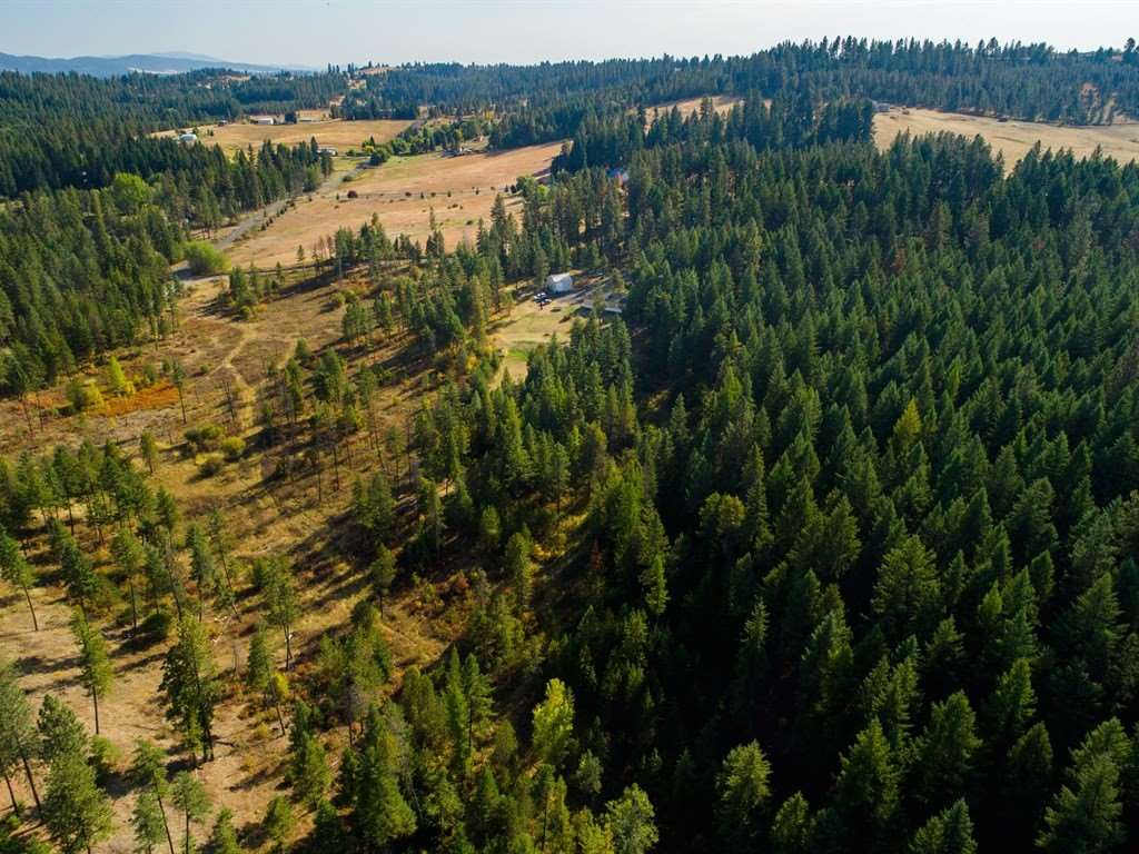 11315 East Halliday Road Colbert, WA 99005 - Photo 20 of 20
