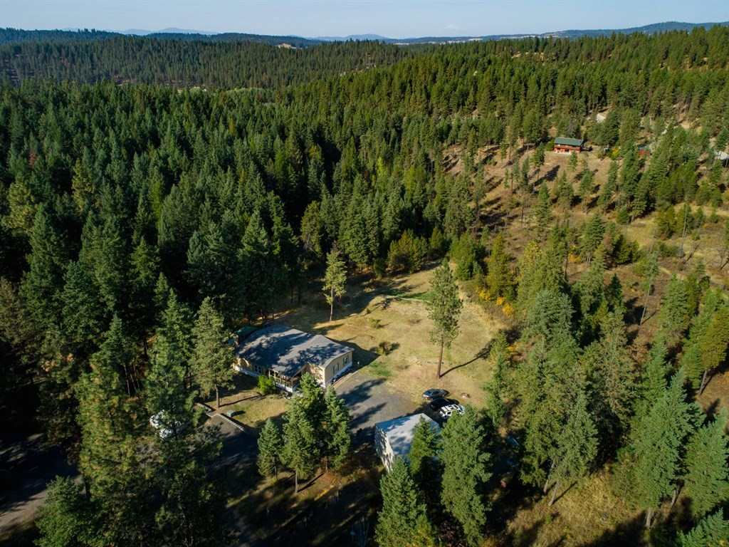 11315 East Halliday Road Colbert, WA 99005 - Photo 3 of 20
