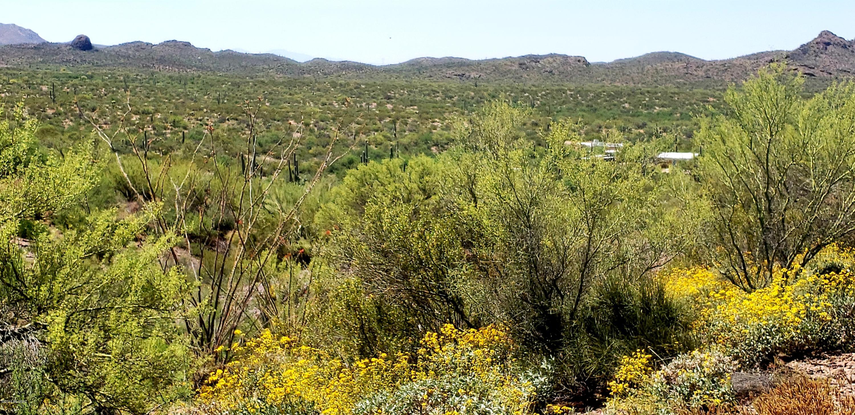 Tbd South Blazed Ridge Road, Unit C2 Tucson, AZ 85739 - Photo 2 of 37