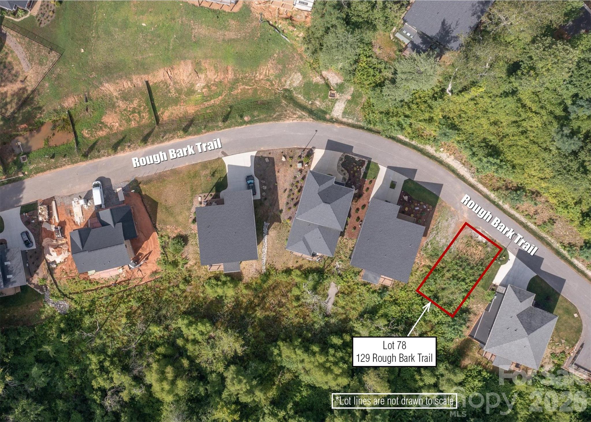 129 Rough Bark Trail, Unit 78 Asheville, NC 28806 - Photo 7 of 9